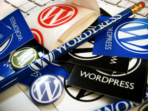 wordpress1