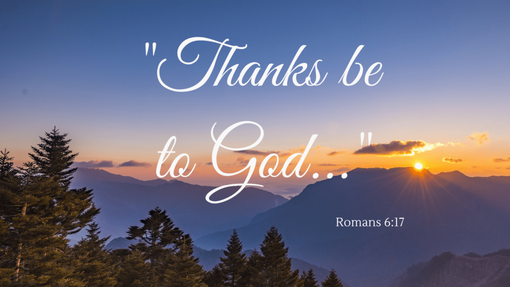 A whirlwind of a week