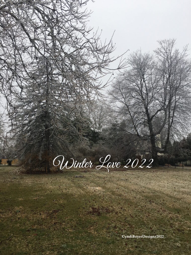 Here's To A Happy Snowy Saturday